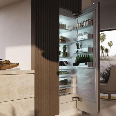 30" Monogram Fully Integrated Column Refrigerator - ZIR301NPNII