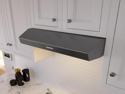 Zephyr ZPIE30AG290 30 Pisa Undercabinet Range Hood with Low Profile