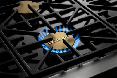 30" Dacor Liquid Propane Gas Pro Range - HGPR30S/LP