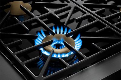 36" Dacor Professional Series Liquid Propane Gas Rangetop - HRTP366S/LP