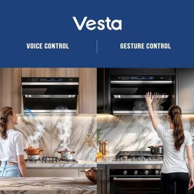 30" Vesta Detroit Under Cabinet Range Hood - VRH-DETROIT-30GS