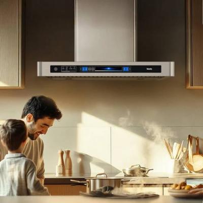 36" Vesta Hamburg Wall Mounted Range Hood - VRH-HAMBURG-36SS